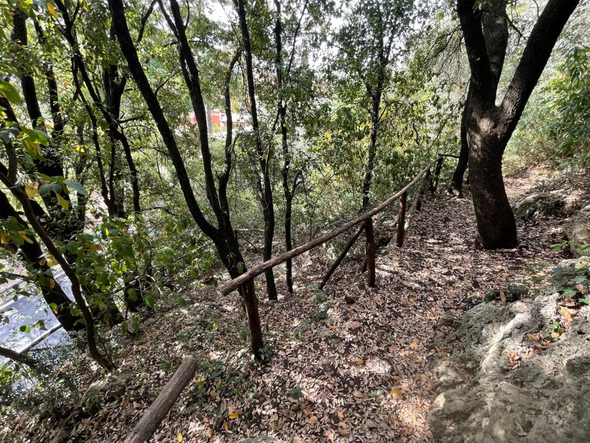 Villa Degli Ulivi Massa Marittima Buitenkant foto