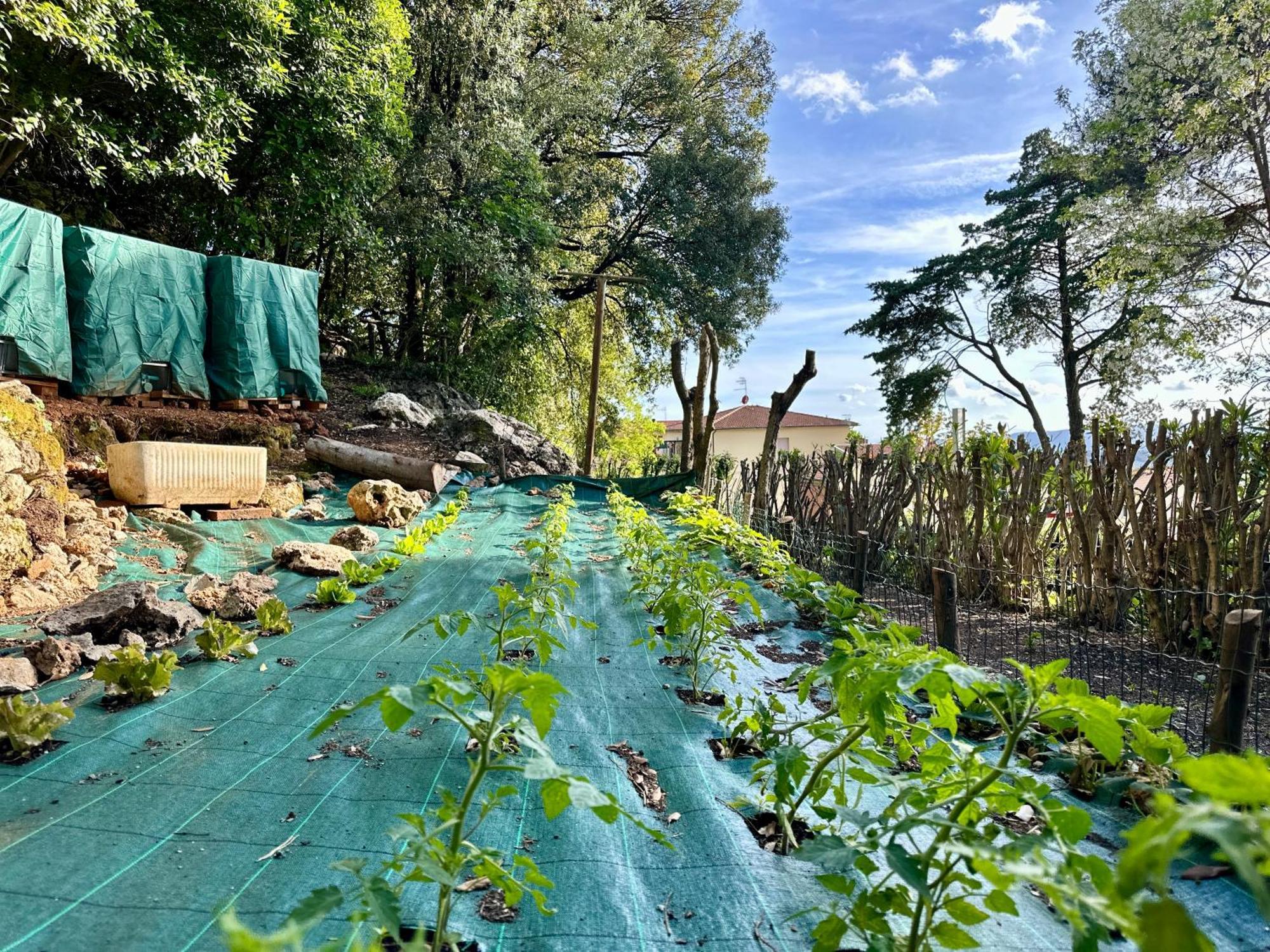 Villa Degli Ulivi Massa Marittima Buitenkant foto